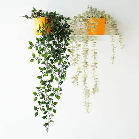 アパート Mar De Live Canarias