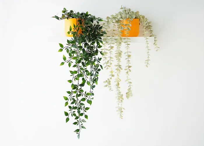 Apartment Mar De Live Canarias